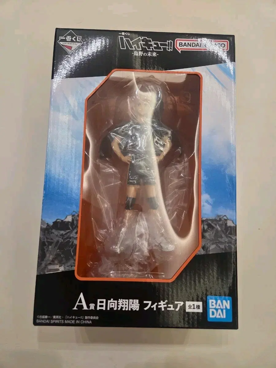 카라스노의 미래 A상 히나타 피규어