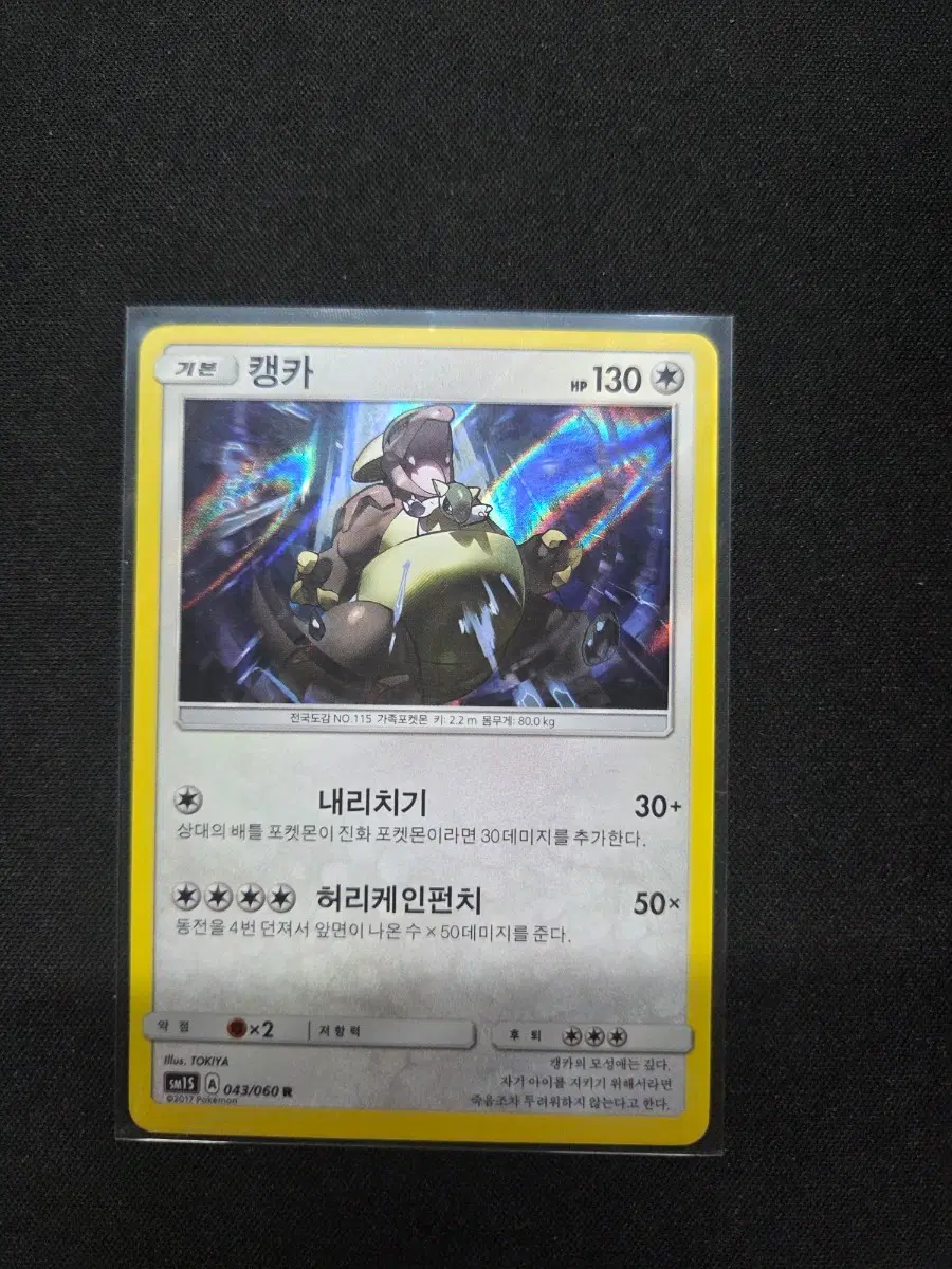 포켓몬스터카드 캥카