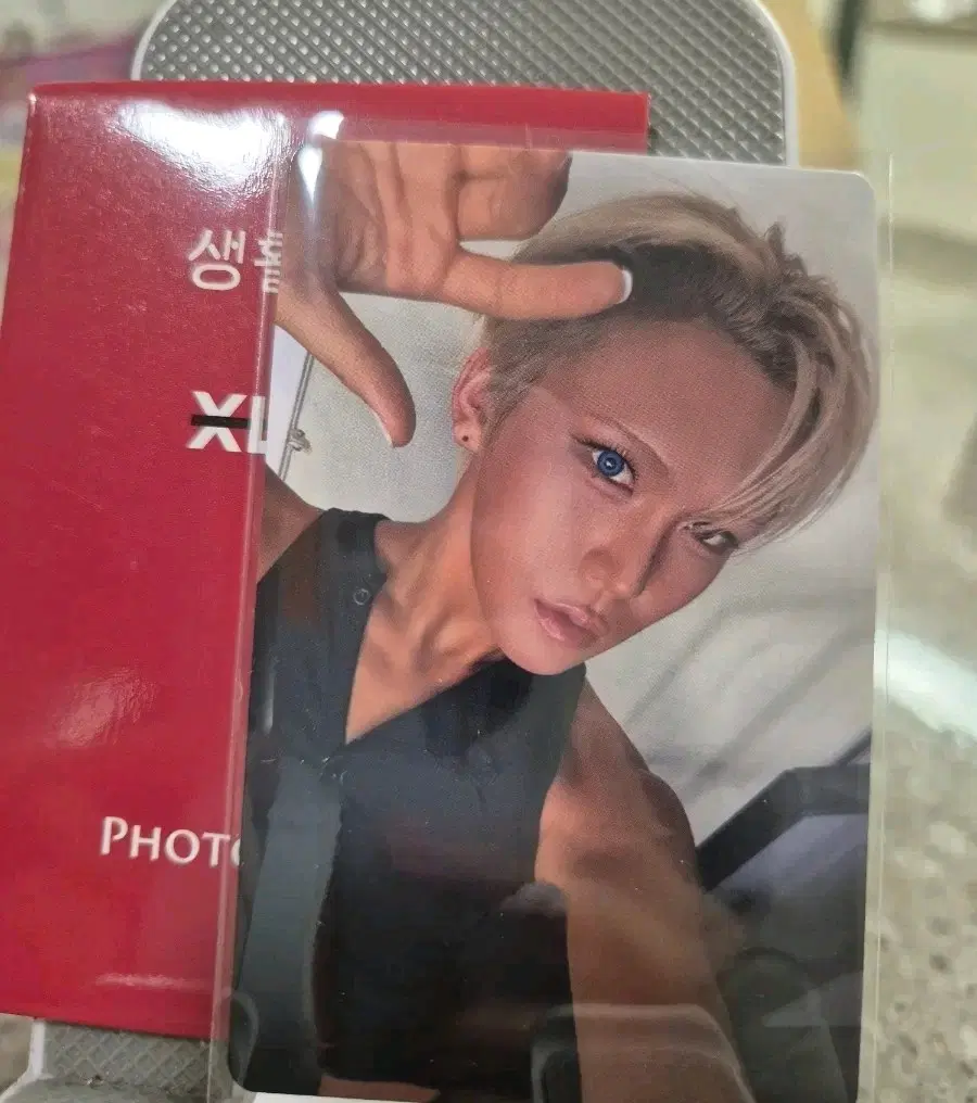 엑스러브 xlov 현 생활약속 포카