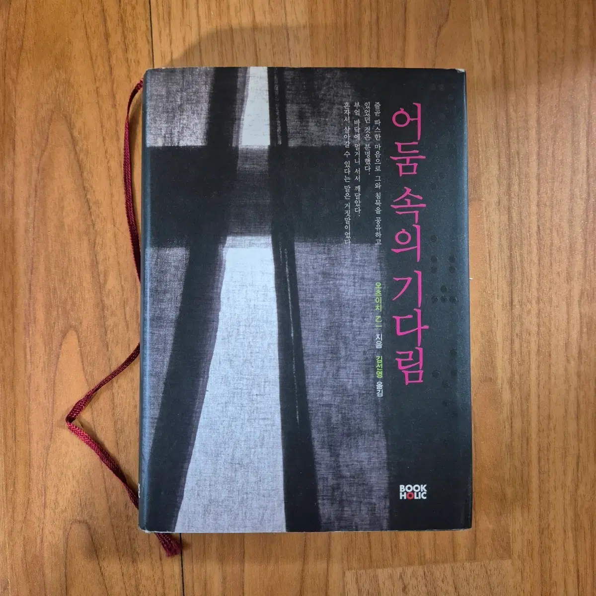 어둠속의 기다림 오츠 이치 소설 절판