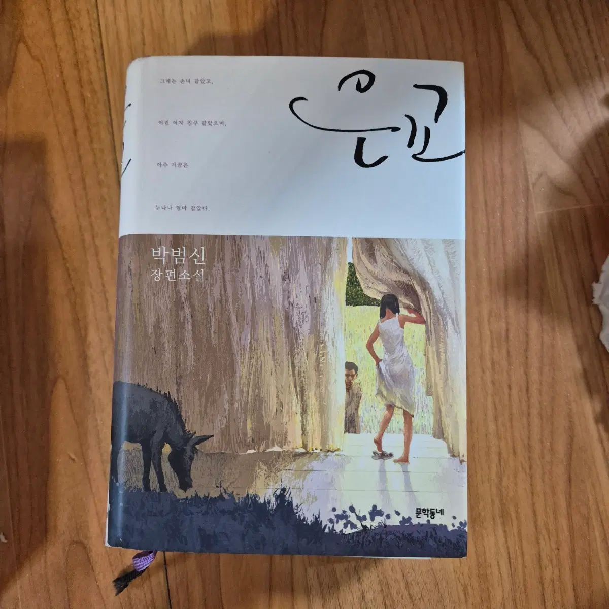 은교 박범식 소설 책