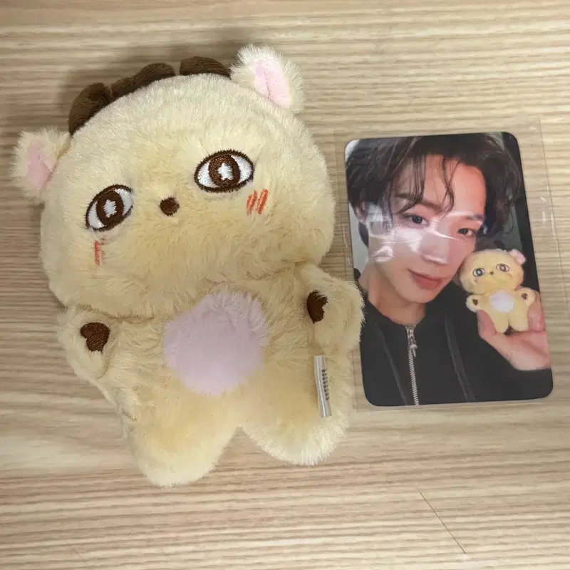 박지훈 소심이 인형