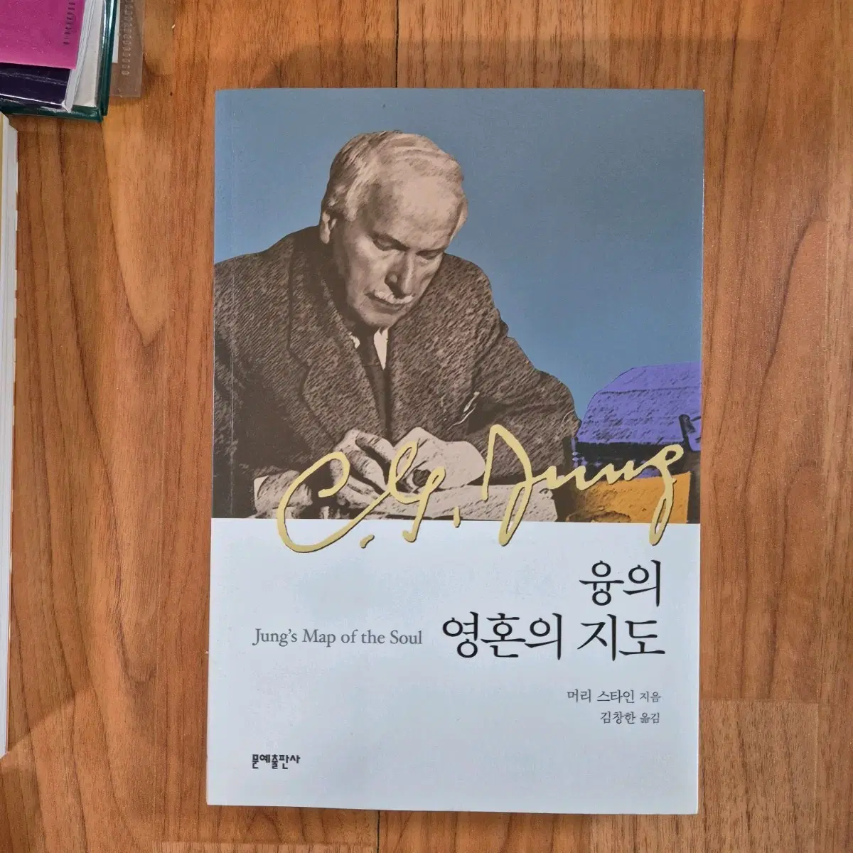 융이 영혼의 지도 머리 스타인 철학서 수필