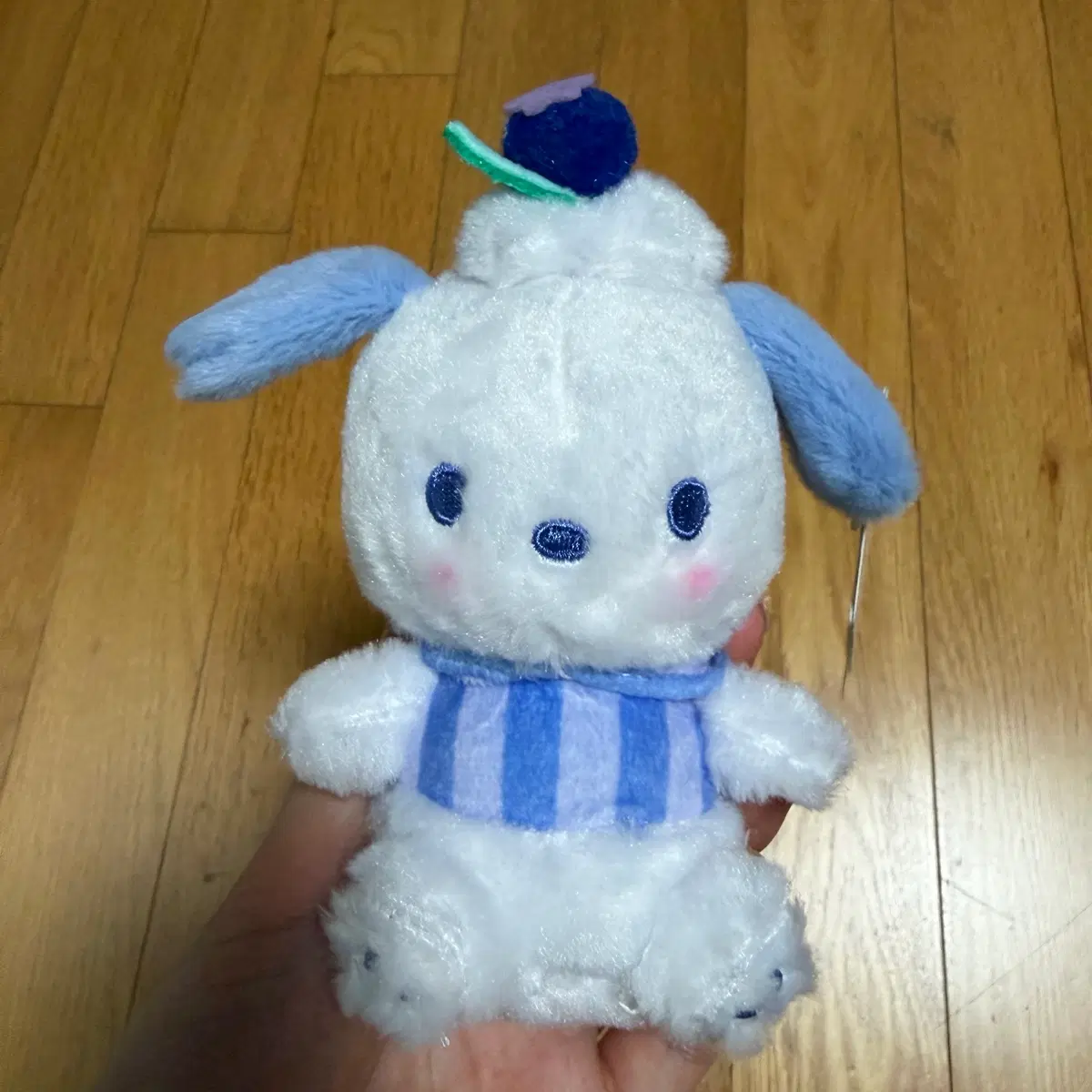 산리오 포차코 블루베리 인형 키링