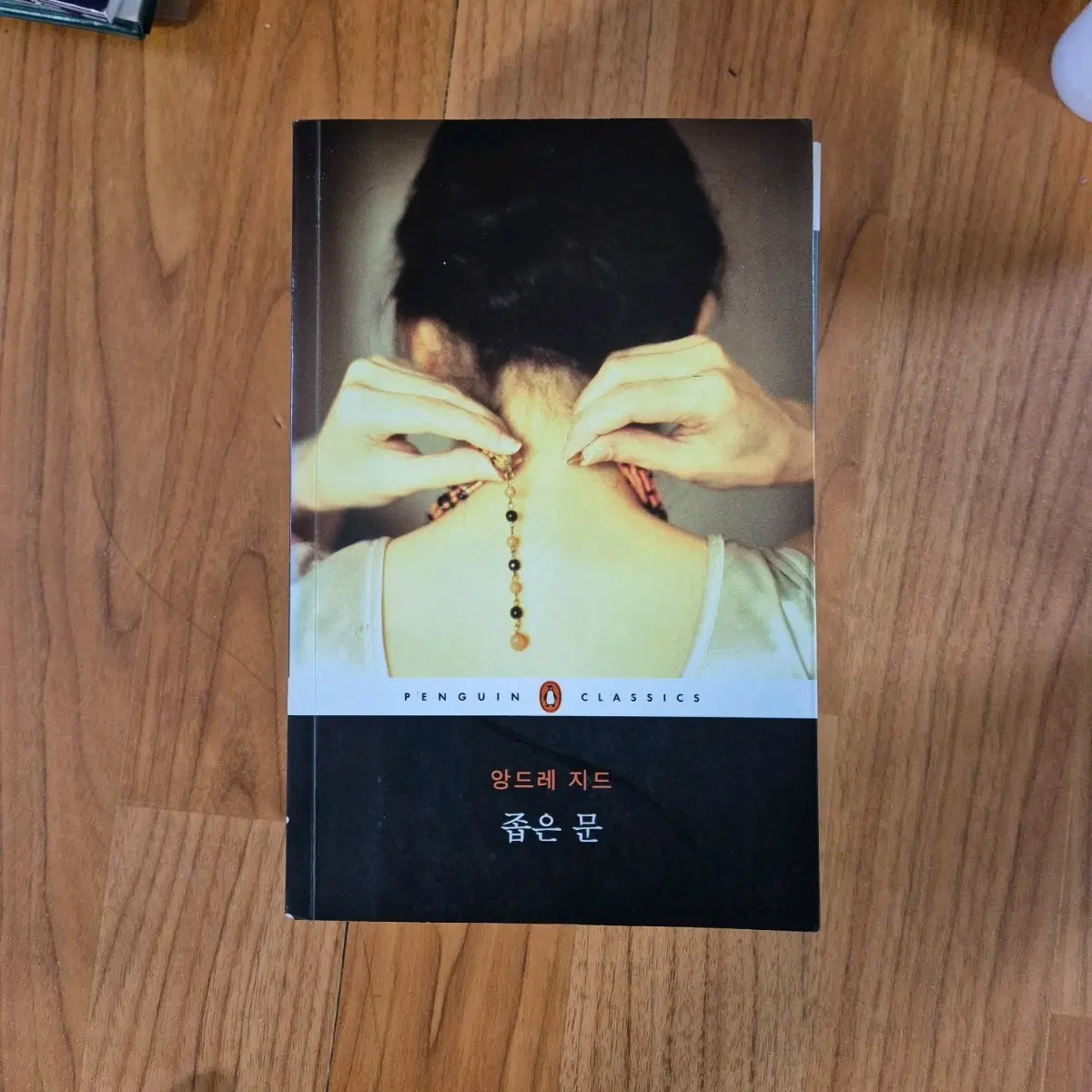 좁은문 앙드레지드 소설 책 펭귄 고전