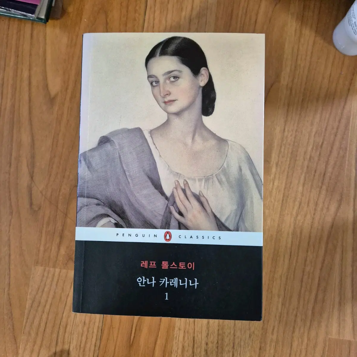 안나 카레니나 1 톨스토이 펭귄 고전 소설 책
