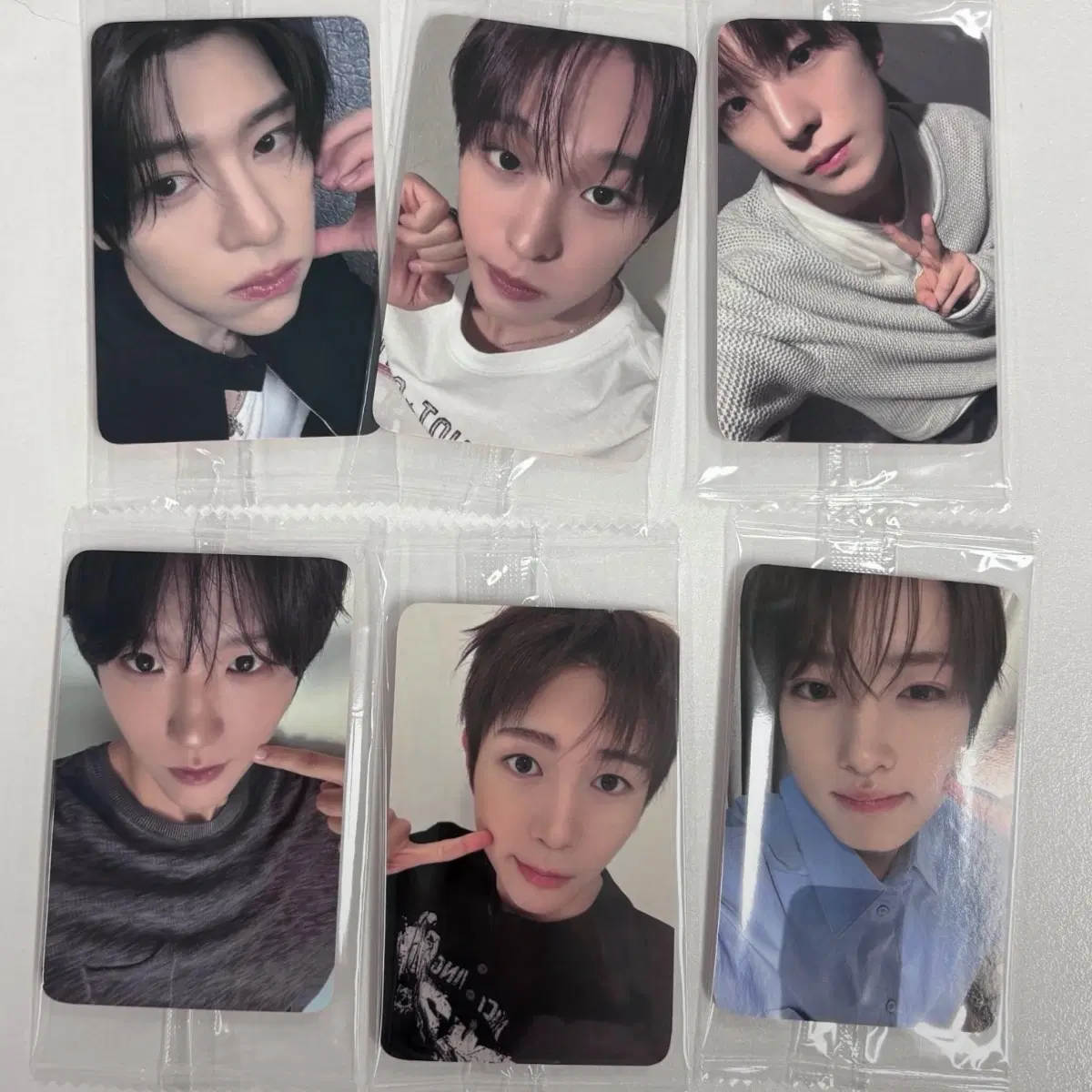 엔시티 위시 오드투러브 260730 케타포 시온 리쿠 유우시 재희 료 사쿠야 포카 분철 판매