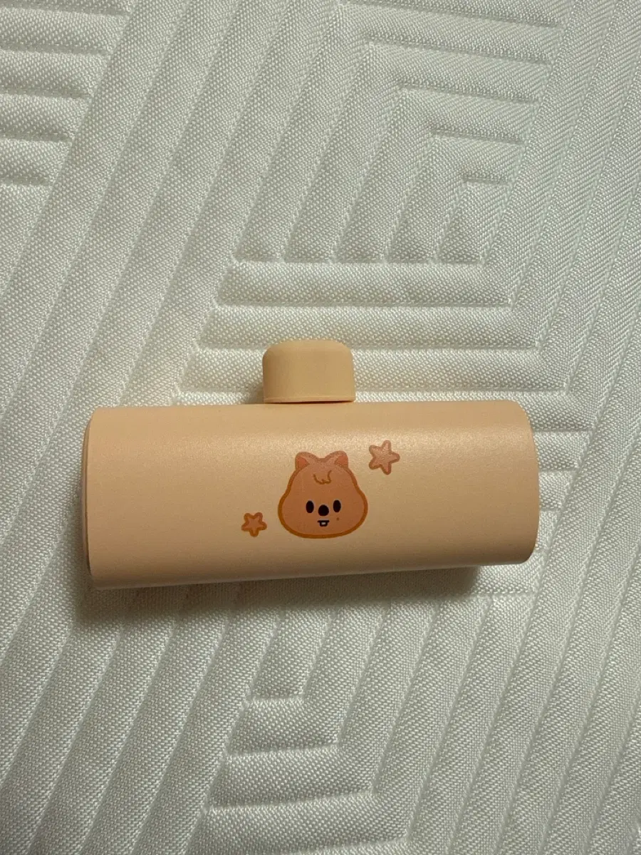스키즈 보조배터리