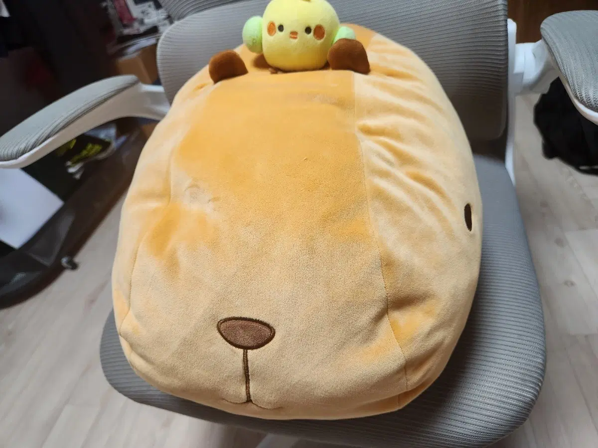 에버랜드 대형 카피바라 인형+작은 카피바라 인형 일괄