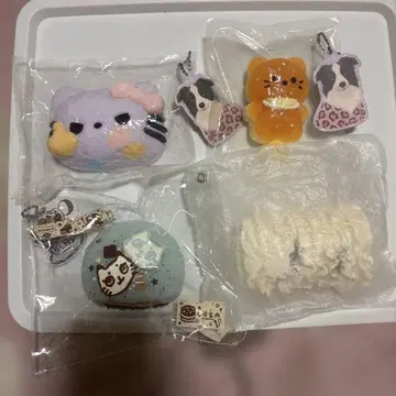 스튜디오 스퀴즈 묶음 판매