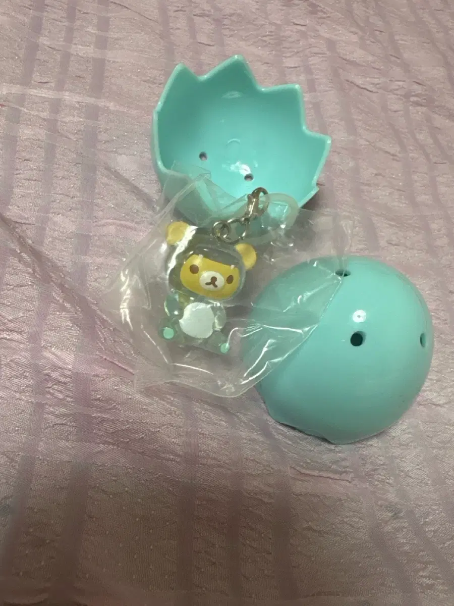 리락쿠마 공룡 메지루시