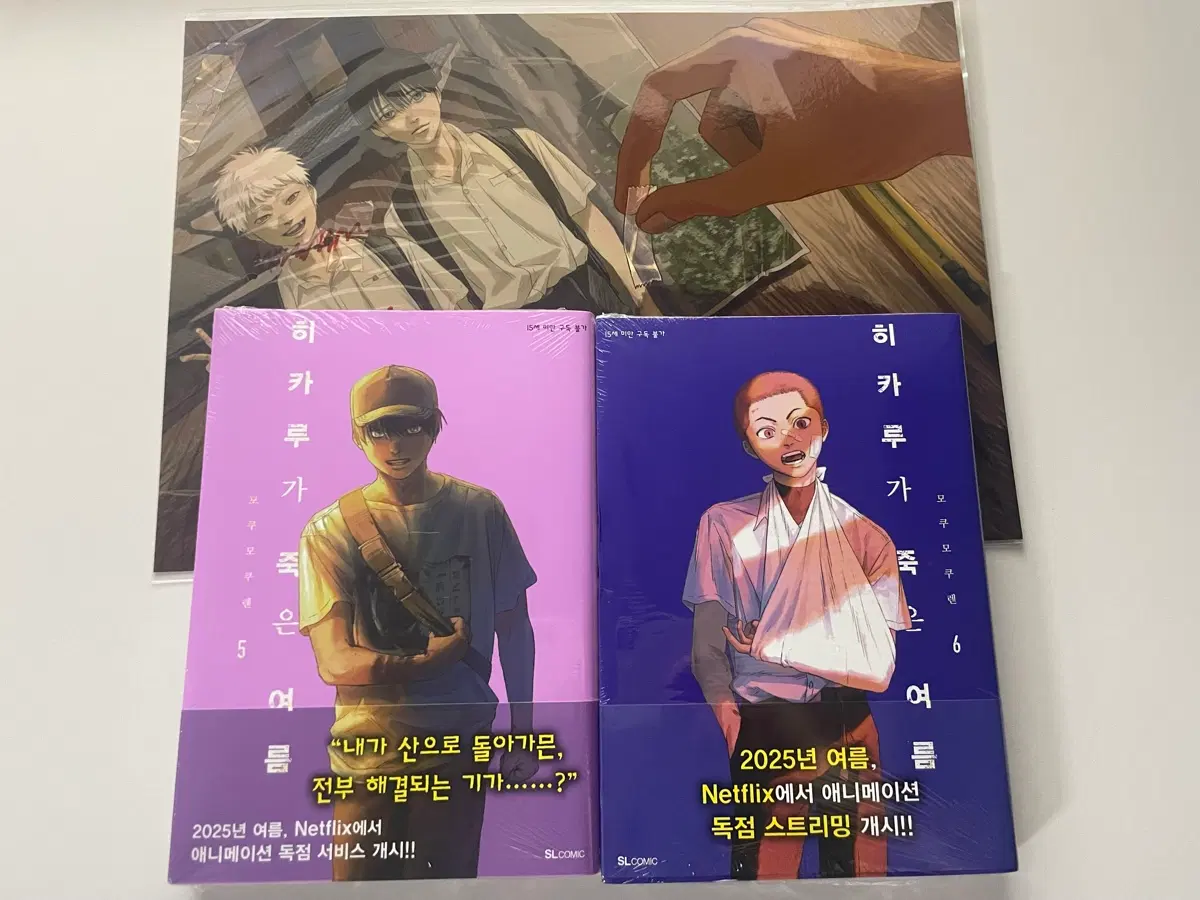 (미개봉)히카루가 죽은 여름 5~6권 초판 교보포스터