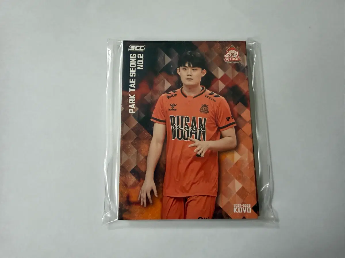 2024-25 SCC KOVO 카본 베이스 세트 OK금융그룹