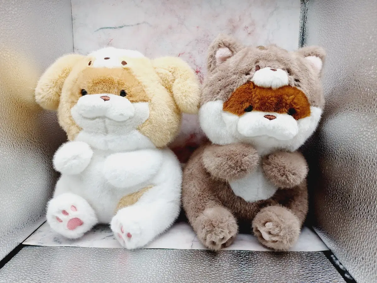 일괄) 우소우소짱 동물코스튬 강아지&고양이 봉제인형 27센치