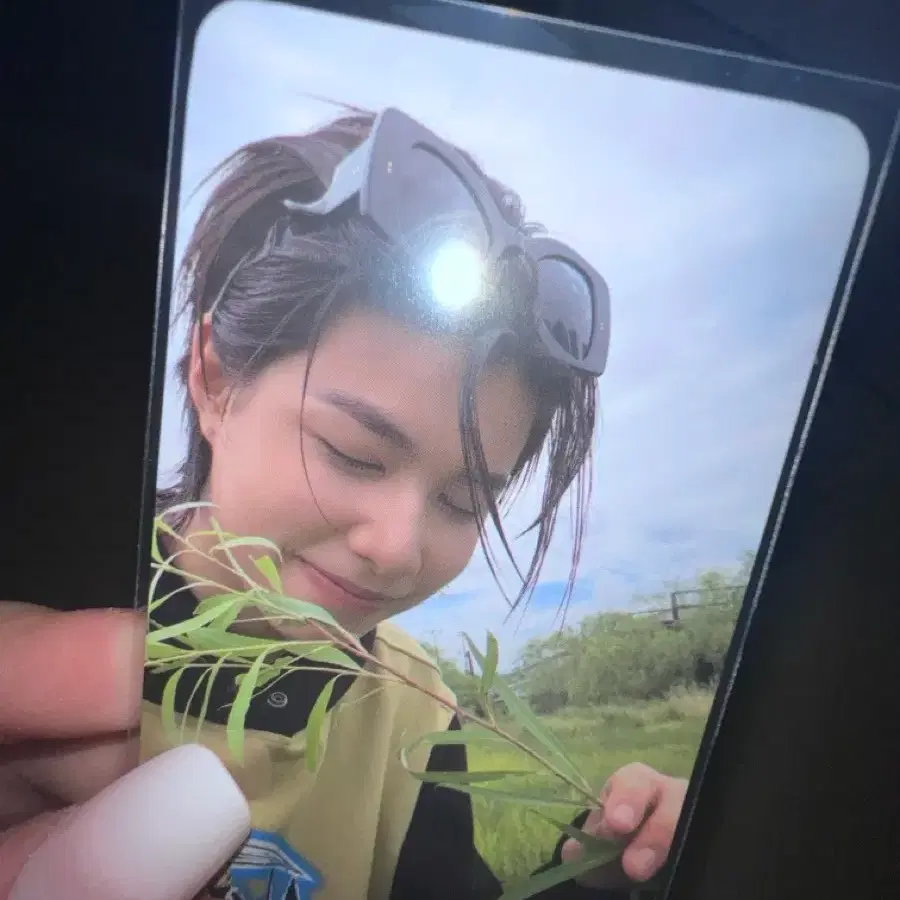 롱샷 루이 스티커북 포카