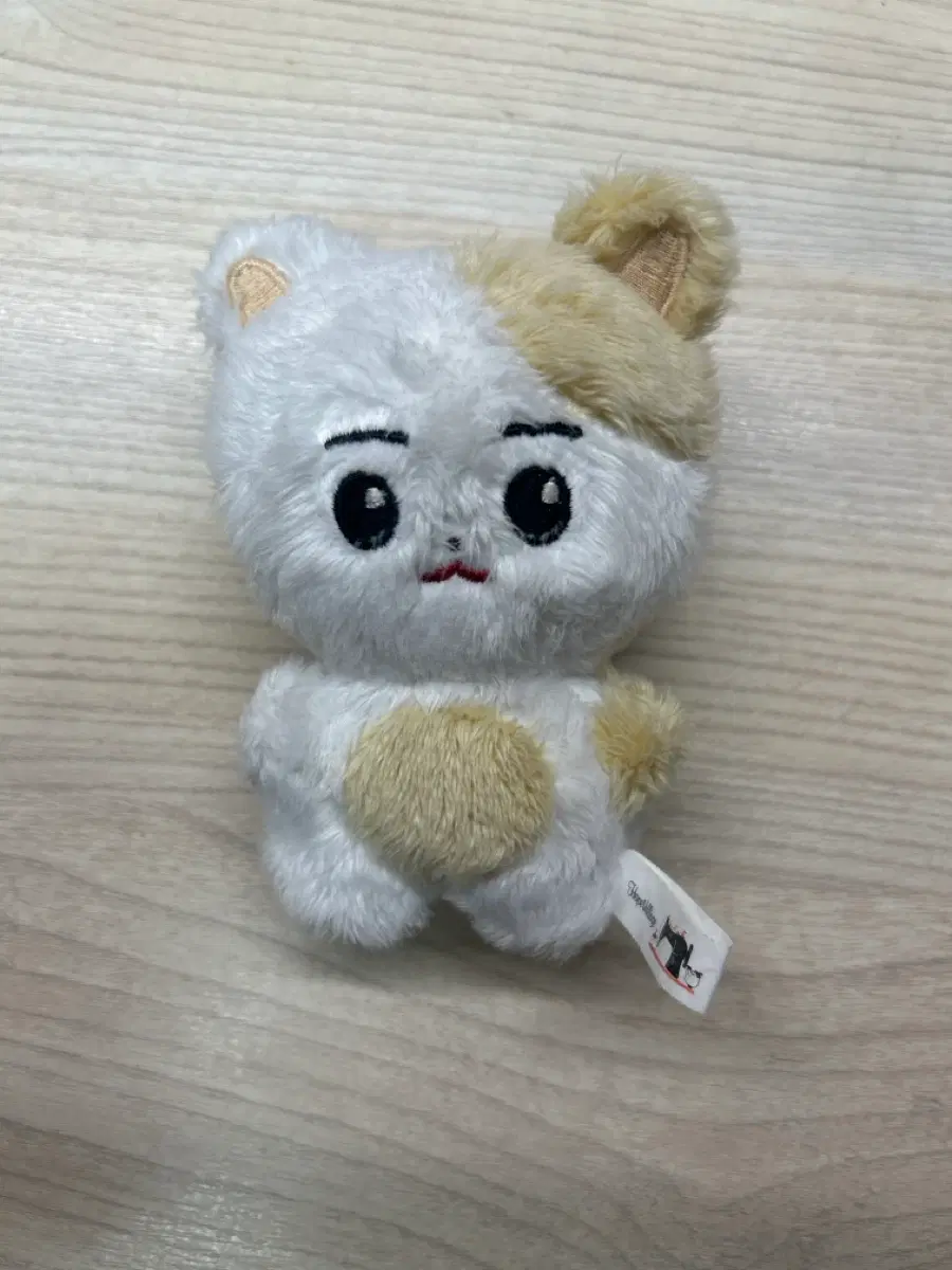 이희승 희승 Evan EVAN 한국뵤 판매