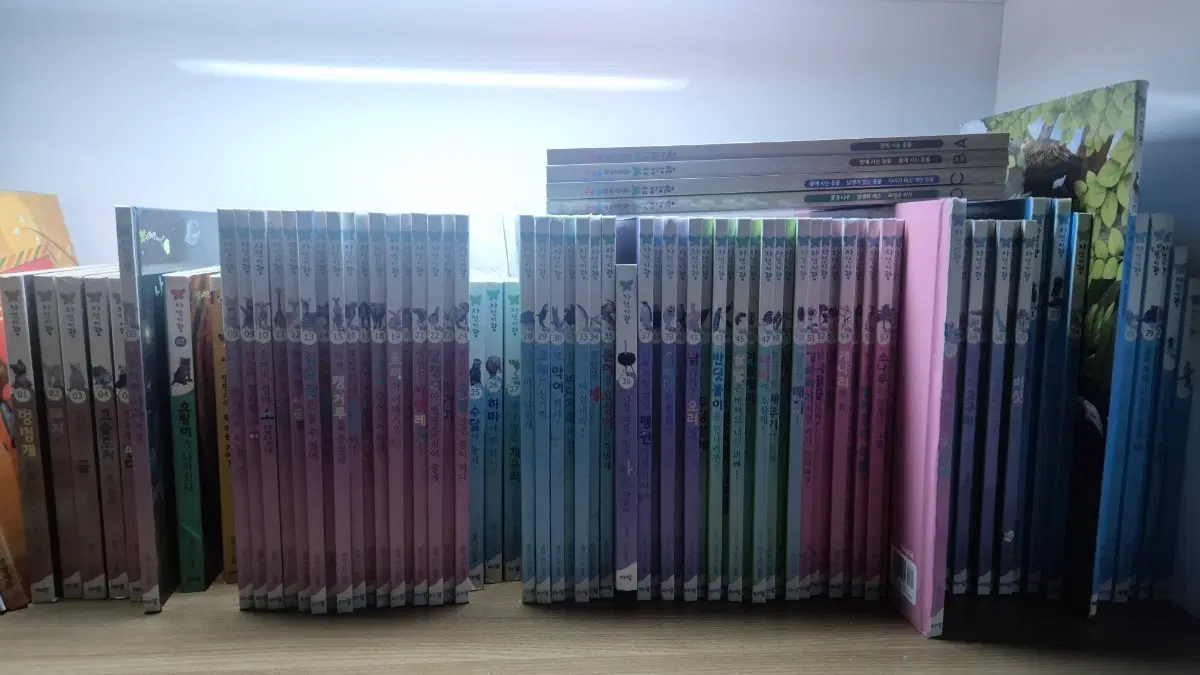 아람출판사 자연이랑 80권  DVD12장 세이펜버젼 상