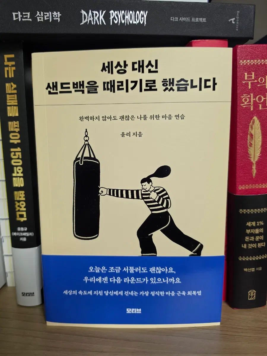 26년6월 신간 도서 자기개발 책추천 세상대신샌드백을때리기로했습니다