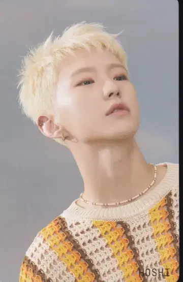 SEVENTEEN HMV HOSHI SECTOR17