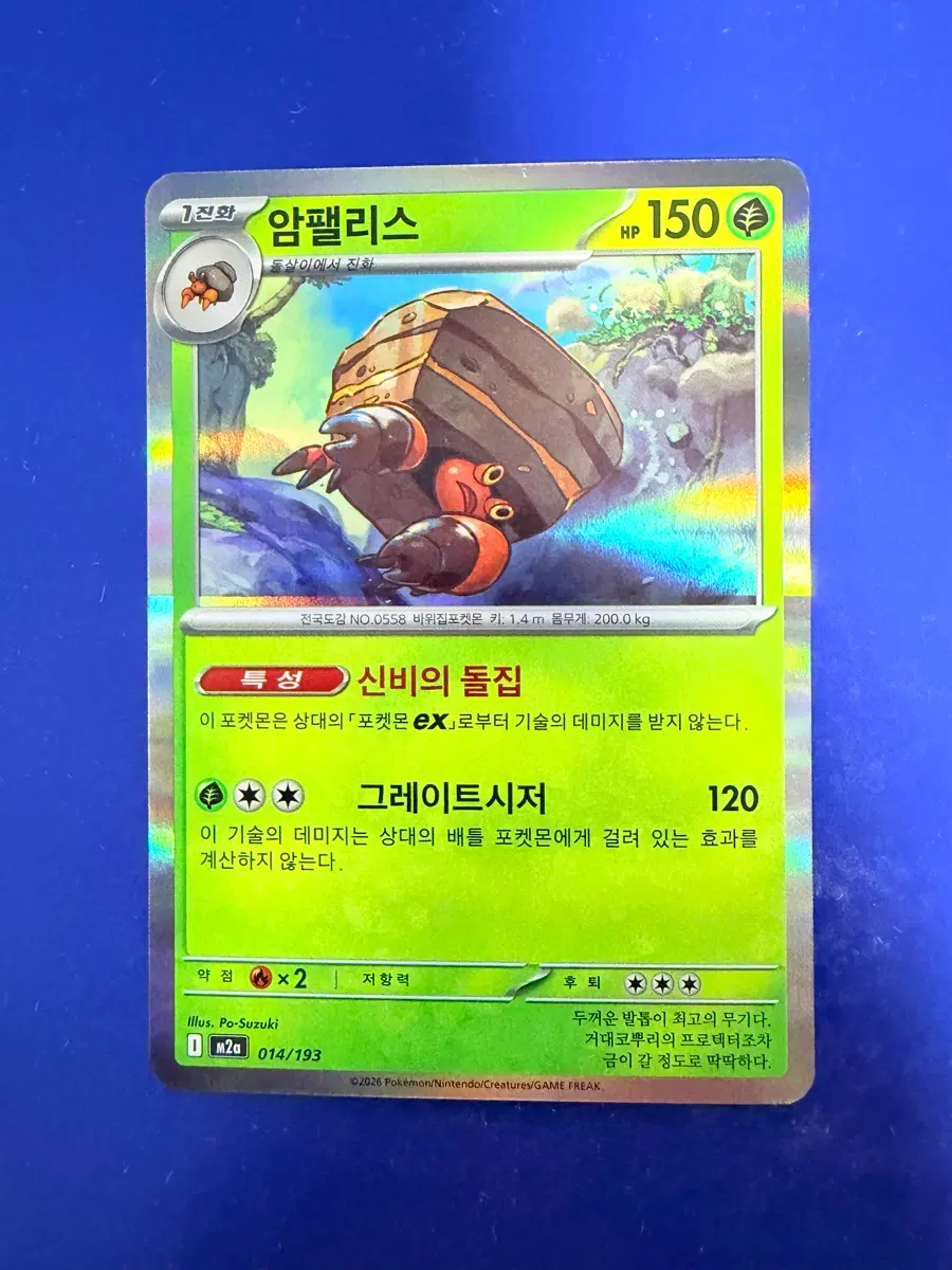 포켓몬카드 암팰리스 홀로 카드