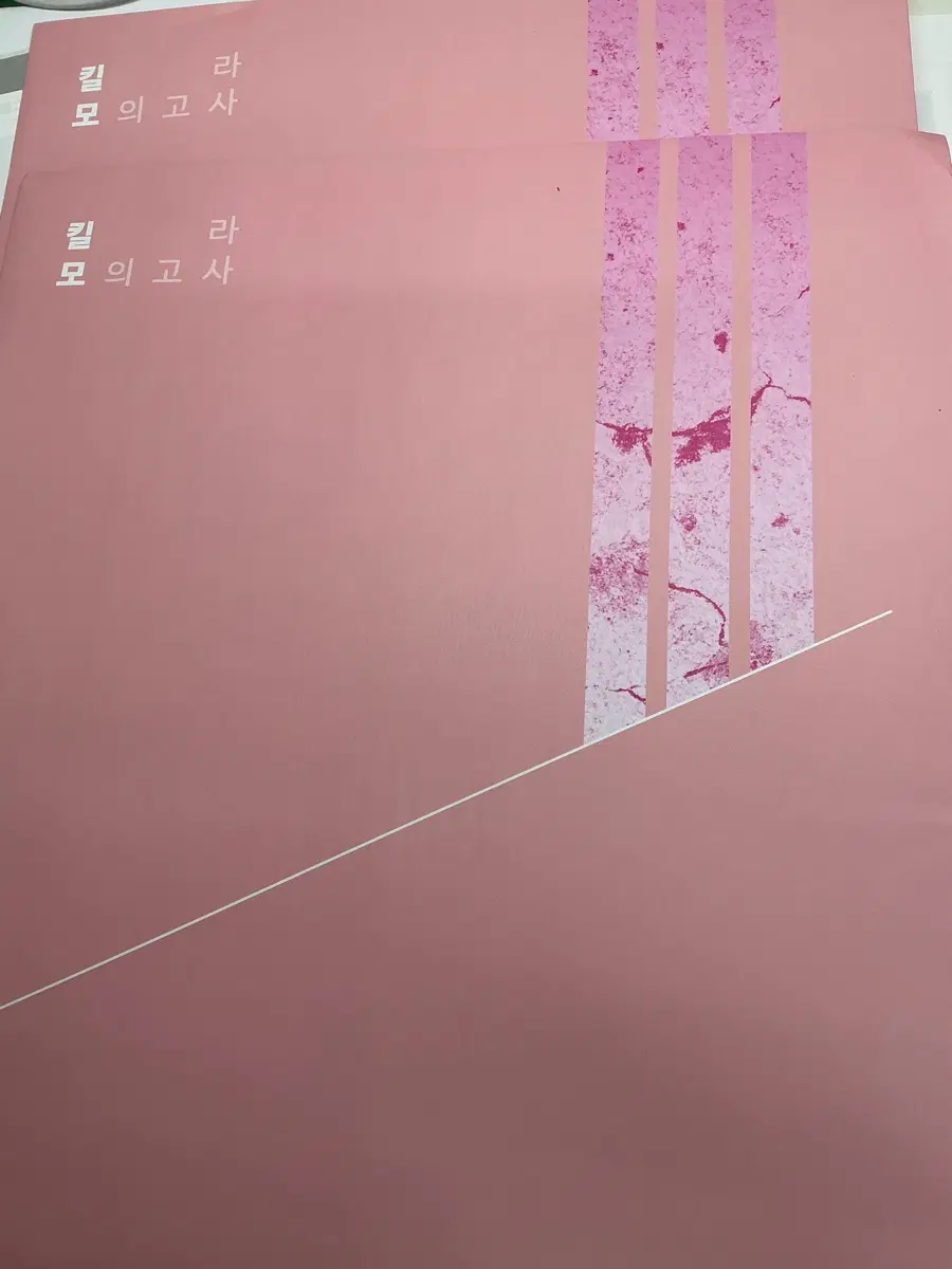 시대인재 김성호 킬라 모의고사 2회분