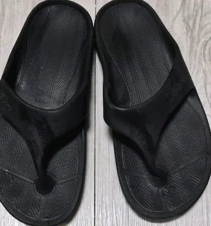 네셔널 지오그래픽 조리