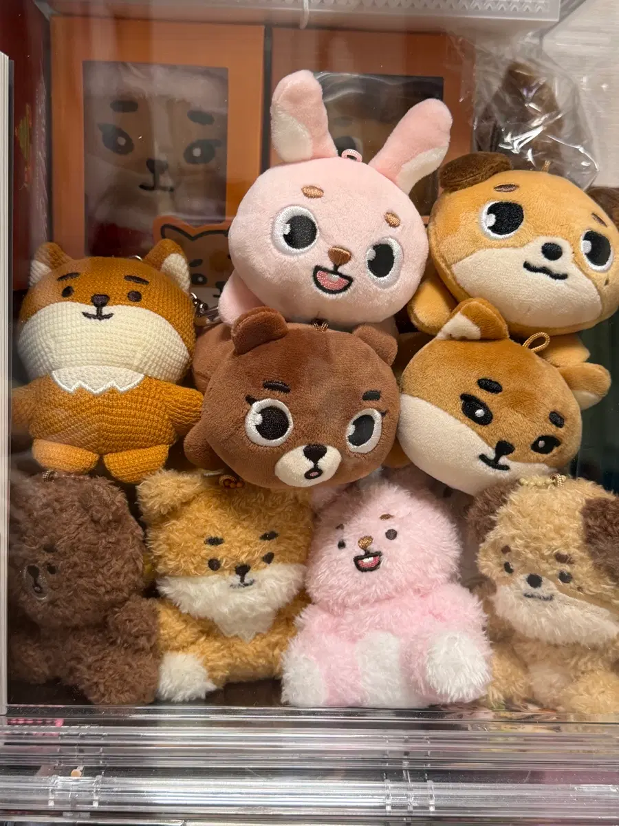 (급처)데이식스 데니멀즈 앉은멀즈