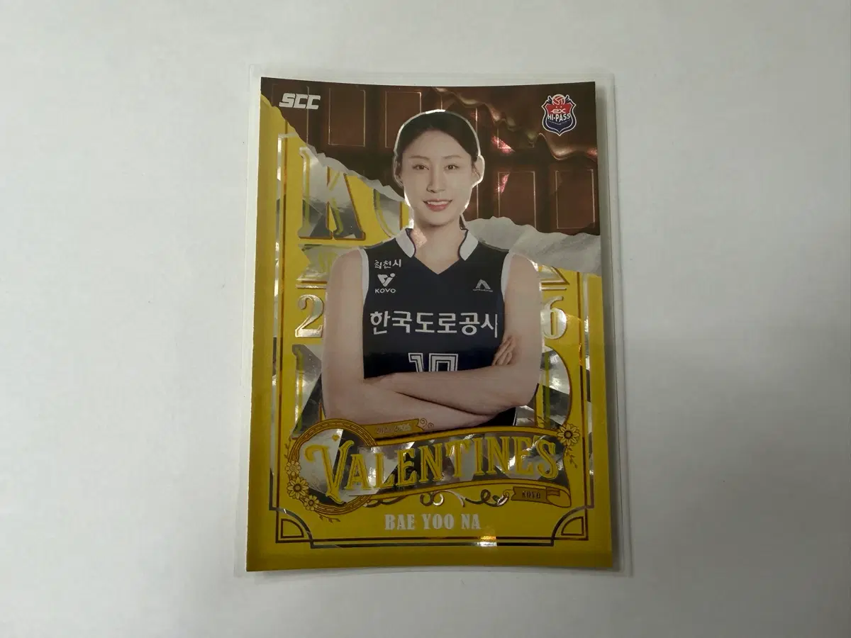 2024-25 SCC KOVO 카본 발렌타인 도로공사 배유나