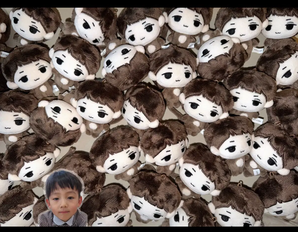 코르티스 성현 인형 엄싱이 구해요
