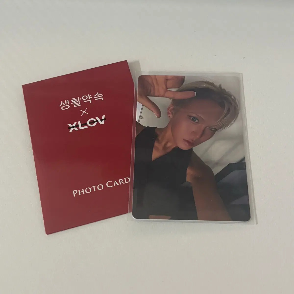 xlov 현 생활약속 포카