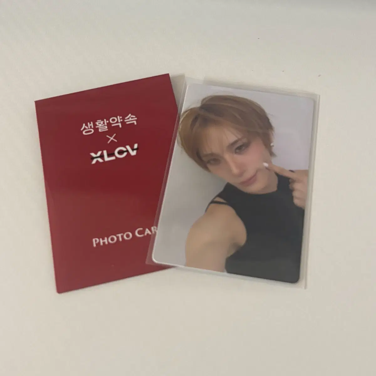 xlov 하루 생활약속 포카
