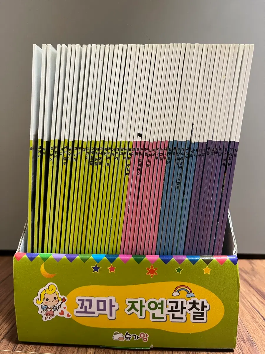 슈가맘 꼬마 자연관찰