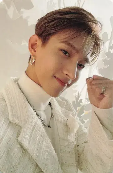 SEVENTEEN 아이노치카라 DK 트레이딩 카드