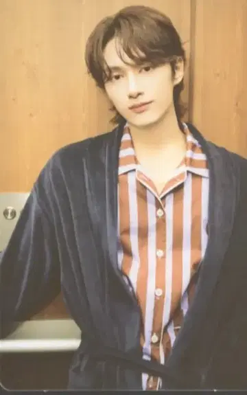 SEVENTEEN JUN 2024 CARAT LAND 17/87