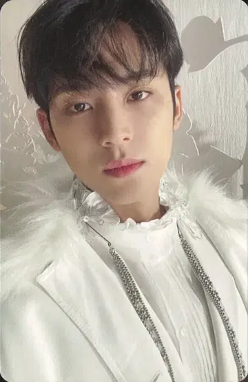 SEVENTEEN 일반ver MINGYU 아이노치카라