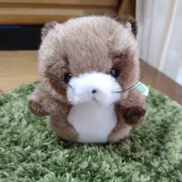 TAKENOKO 에어캡랜드 너구리 봉제 인형