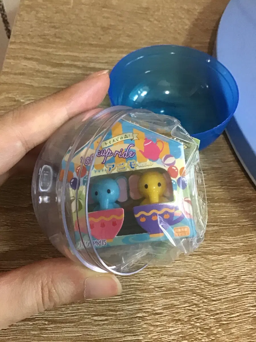 쁘띠쁘띠 애니멀 티컵라이드 놀이공원 코끼리