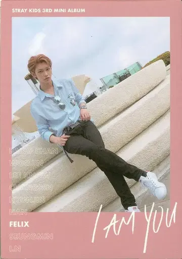 StrayKids I AM YOU FELIX 트레이딩 카드 폴라로이드