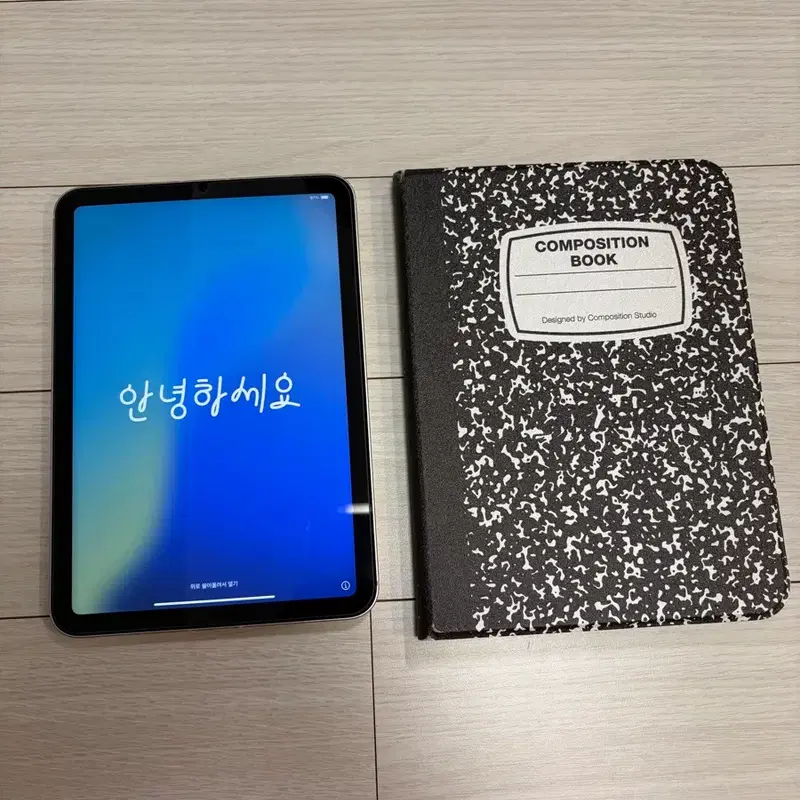 아이패드 미니6 256gb 셀룰러 핑크