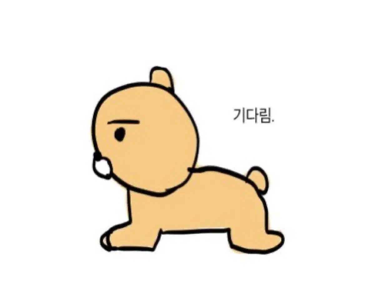 수능 정치와 법