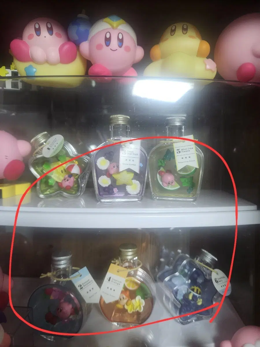 커비 푸푸푸 허바리움 하바리움 허베리움 하베리움