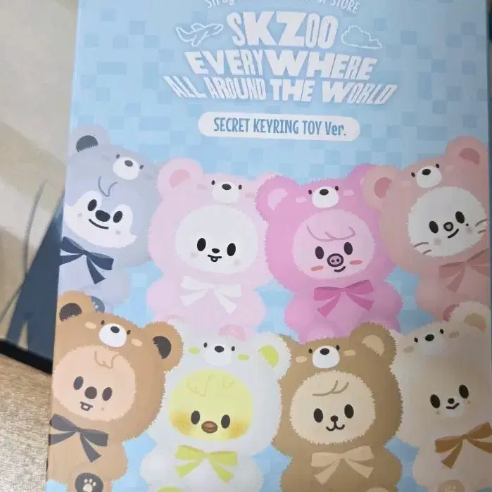 스키주 시크릿 키링 토이 skzoo skz 돼끼 판매