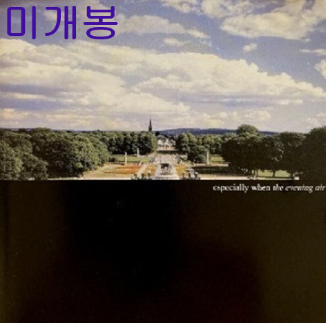 이스페셜리웬 - The Evening Air (미개봉, CD)