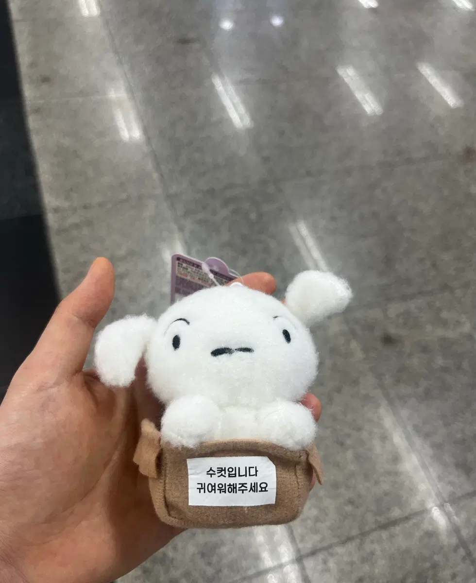 짱구 정품 첫만남 흰둥이 새제품