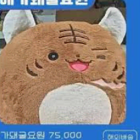 구해요) 메가 돼굴 요원