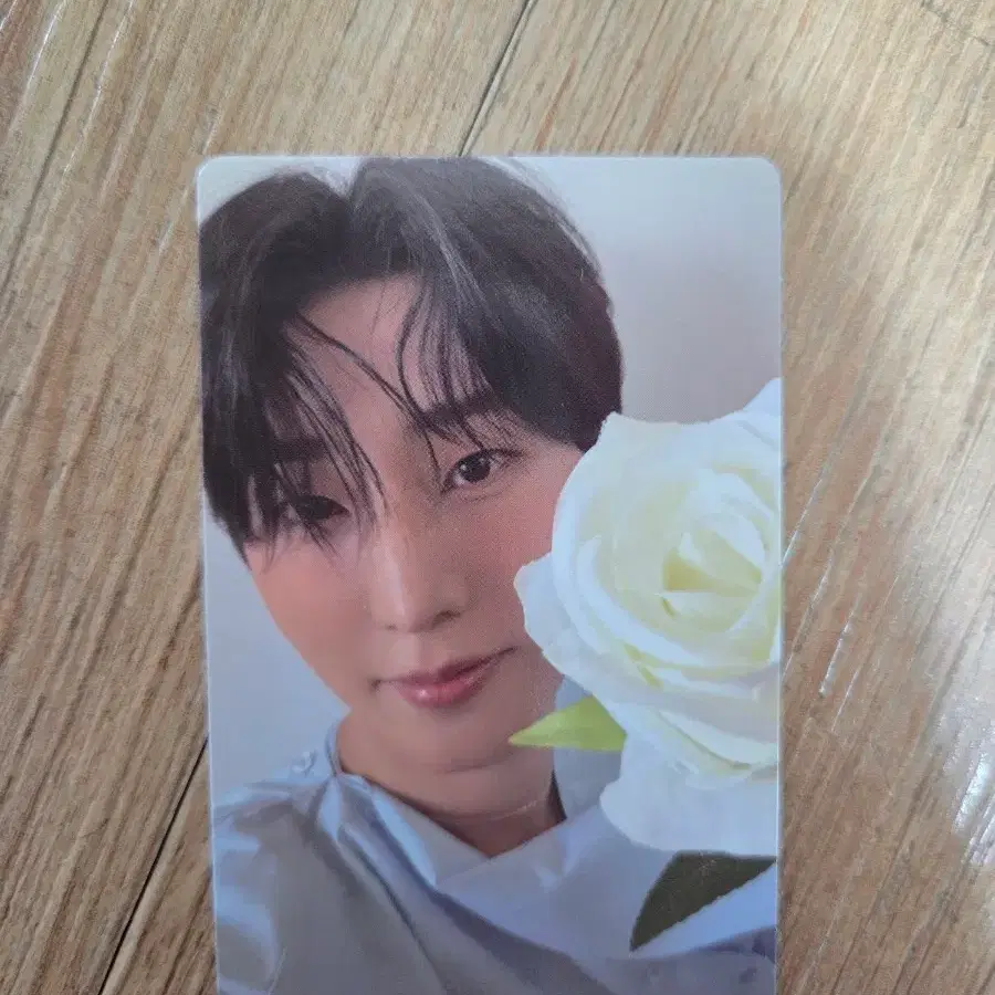 데이식스 영케이 영기스트 지갑버전 포카