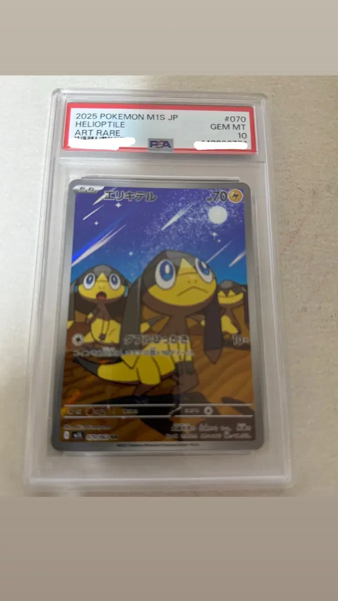 포켓몬카드 목도리키텔 psa10 일어판