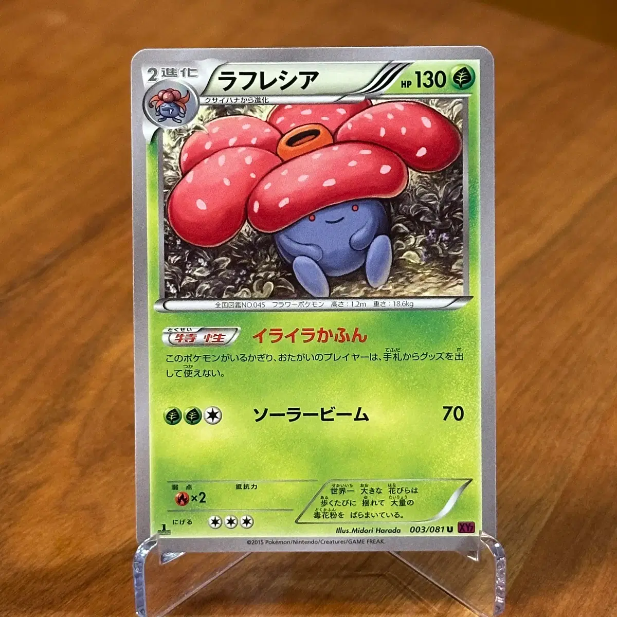 (일판) 1st Edition 초판 포켓몬카드 라플레시아 XY7 003/081 (뚜벅쵸, 냄새꼬 진화)