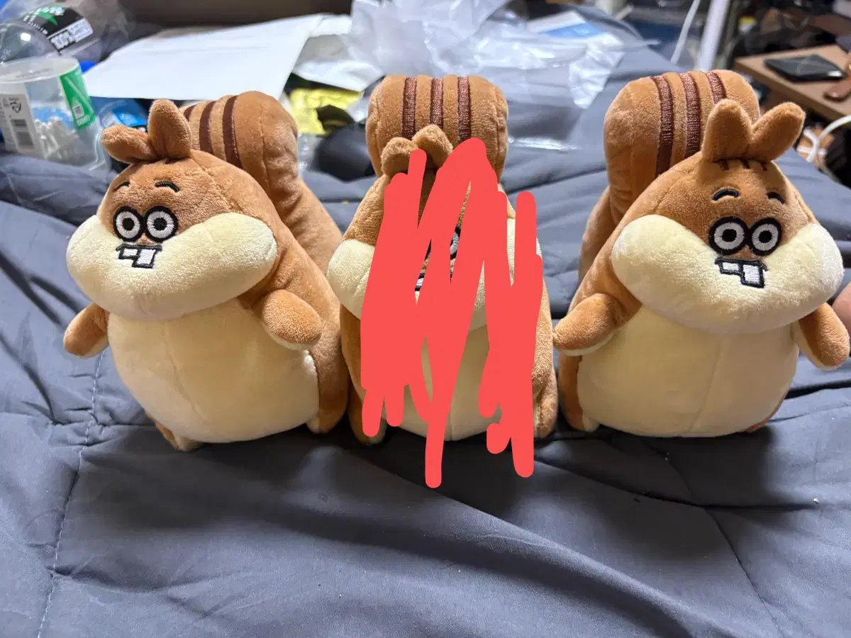 똘망똘망 다람이 인형 팝니다