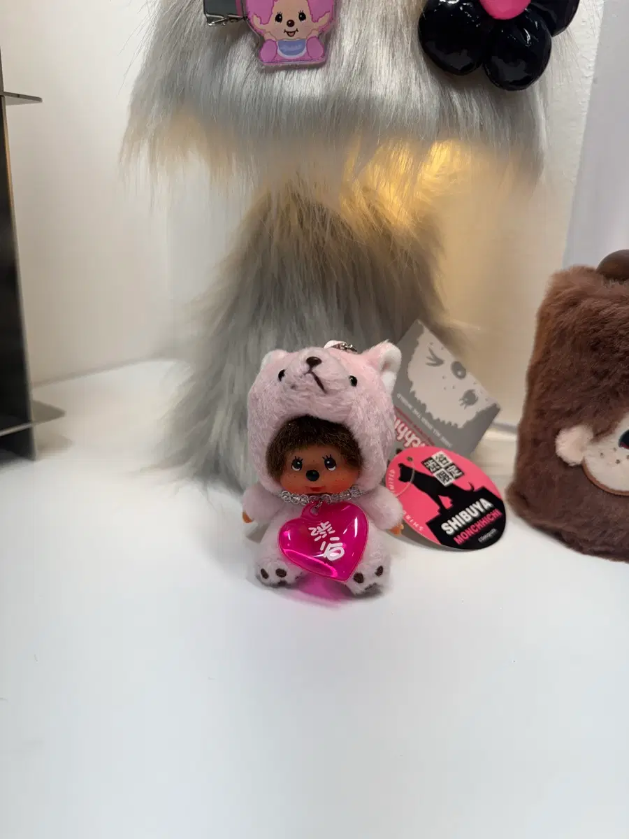 시부야 미니 곰 몬치치
